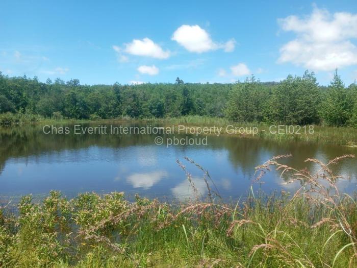 Commercial Stand for Sale in Juliasdale, Juliasdale