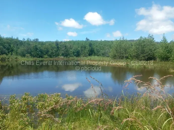 Commercial Stand for Sale in Juliasdale, Juliasdale