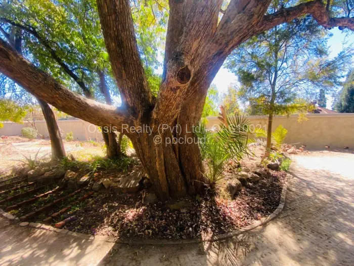 3 Bedroom House to Rent in Mandara, Harare