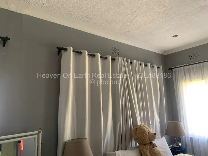 4 Bedroom House to Rent in Vainona