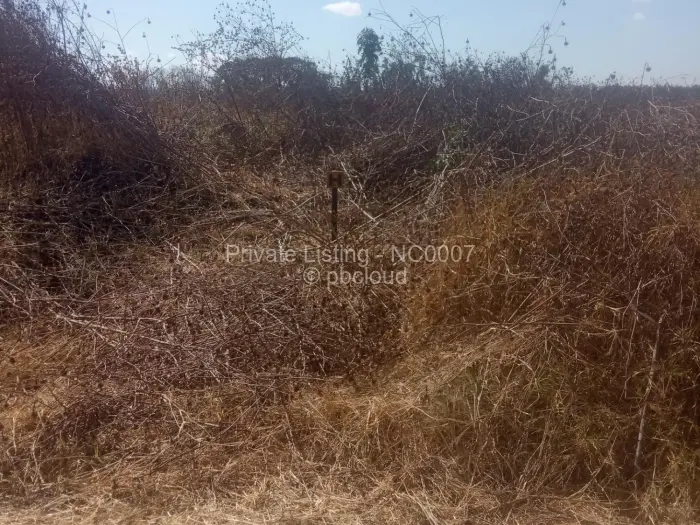 Residential Stand for Sale in Borrowdale, Harare