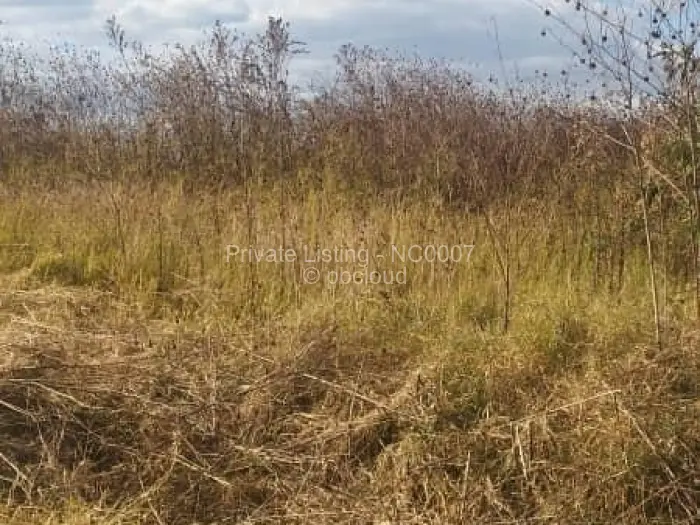 Residential Stand for Sale in Borrowdale, Harare