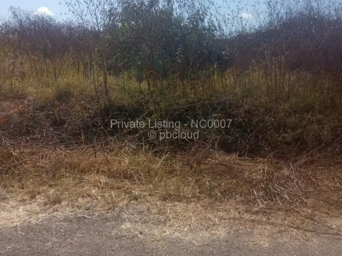 Residential Stand for Sale in Borrowdale, Harare