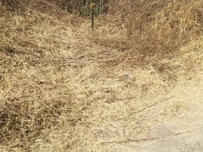 Residential Stand for Sale in Borrowdale, Harare