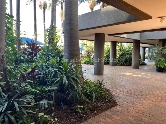 Flat/Apartment to Rent in Avenues
