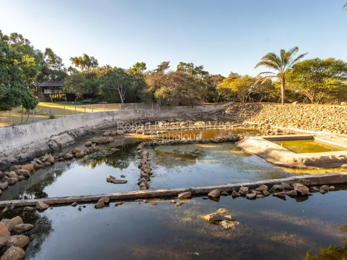 Warehouse/Industrial for Sale in Ruwa, Ruwa