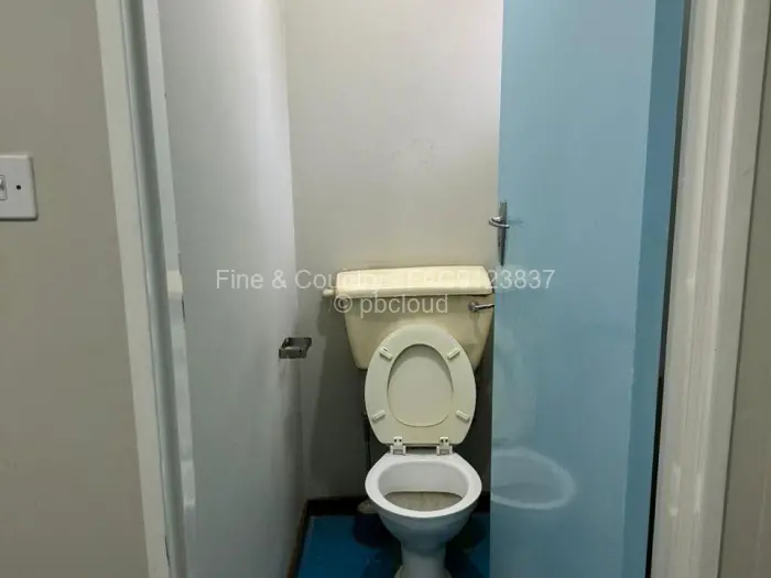 Flat/Apartment to Rent in Avenues