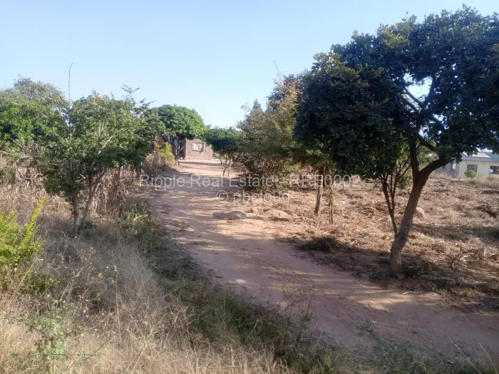 Stand for Sale in Whitecliff, Harare