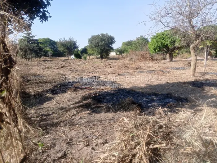 Stand for Sale in Whitecliff, Harare