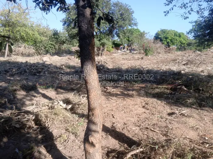Stand for Sale in Whitecliff, Harare