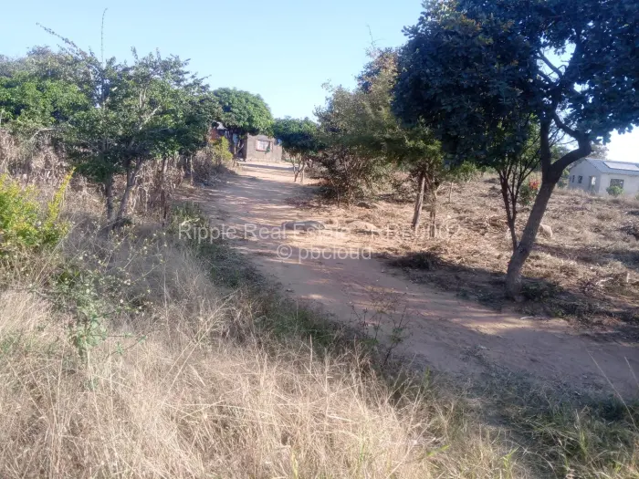 Stand for Sale in Whitecliff, Harare