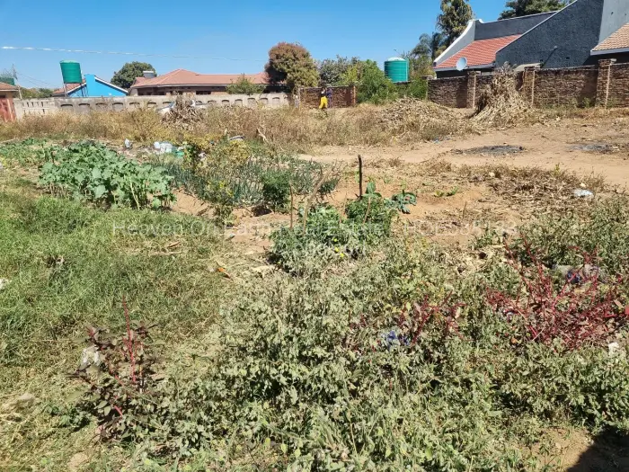 Stand for Sale in Zimre Park, Harare