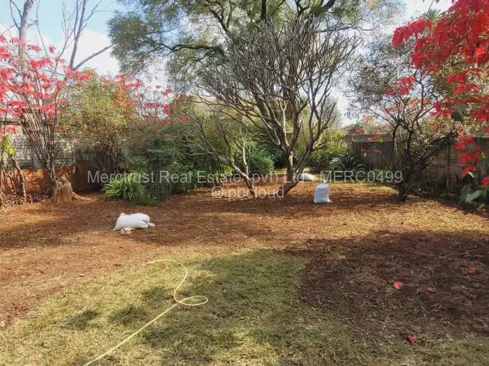 Flat/Apartment to Rent in Mount Pleasant