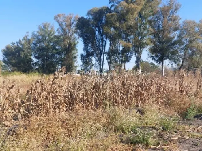 Land for Sale in Mount Pleasant, Harare