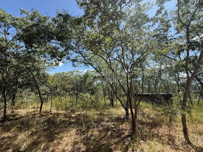 Residential Stand for Sale in Mazvikadei, Mazvikadei