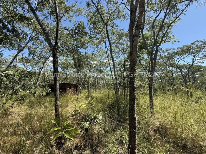 Residential Stand for Sale in Mazvikadei, Mazvikadei