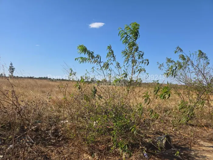 Commercial Stand for Sale in Gumtree, Bulawayo