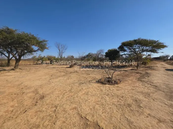 Commercial Stand for Sale in Gumtree, Bulawayo