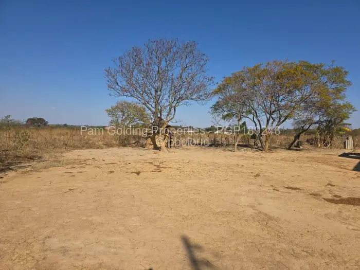 Commercial Stand for Sale in Gumtree, Bulawayo