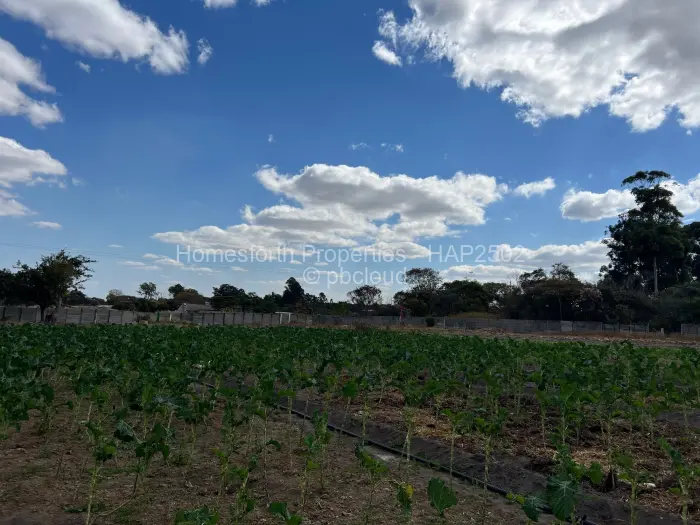 Commercial Stand for Sale in Goromonzi, Goromonzi