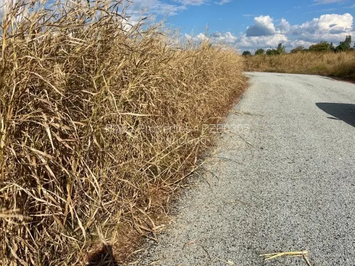 Residential Stand for Sale in Norton, Norton