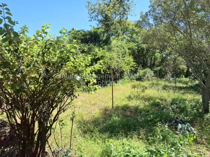 4 Bedroom House for Sale in Burnside, Bulawayo