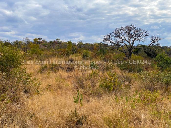 Commercial Stand for Sale in Fortunes Gate, Bulawayo