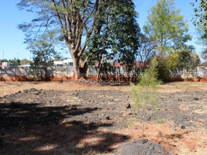 1 Bedroom Cottage/Garden Flat to Rent in Borrowdale
