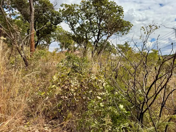 Residential Stand for Sale in Gletwin Park, Harare