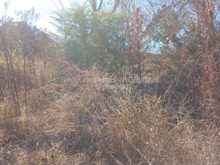 Residential Stand for Sale in Buena Vista, Bulawayo