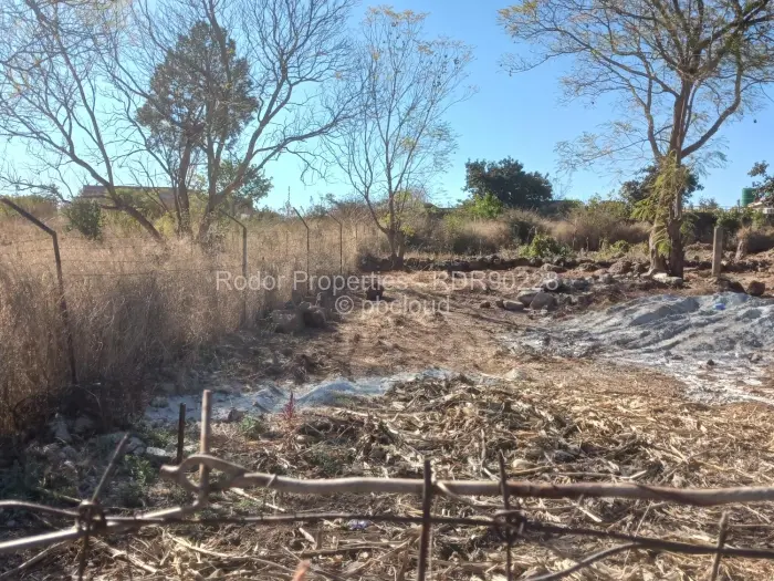 Residential Stand for Sale in Buena Vista, Bulawayo