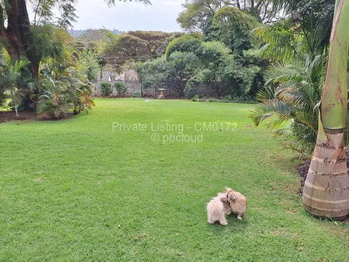 5 Bedroom House to Rent in Chisipite