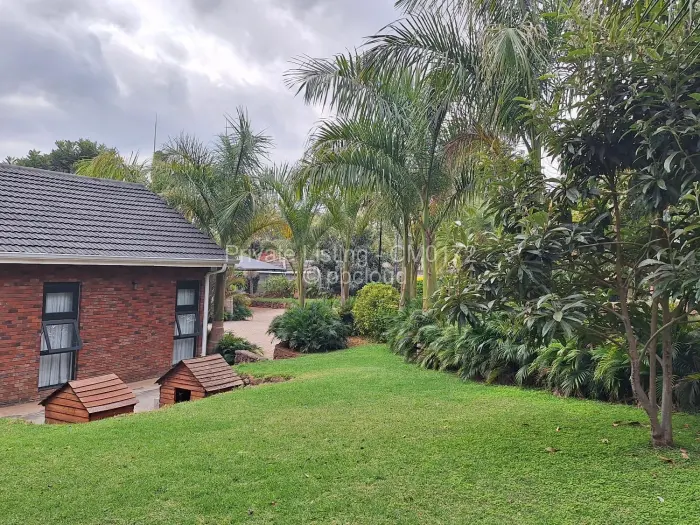 5 Bedroom House to Rent in Chisipite