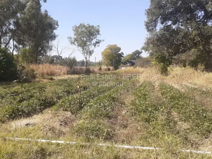 Farm/Plot for Sale in Ruwa, Ruwa