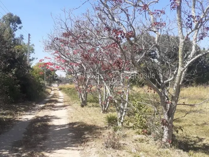 Farm/Plot for Sale in Ruwa, Ruwa