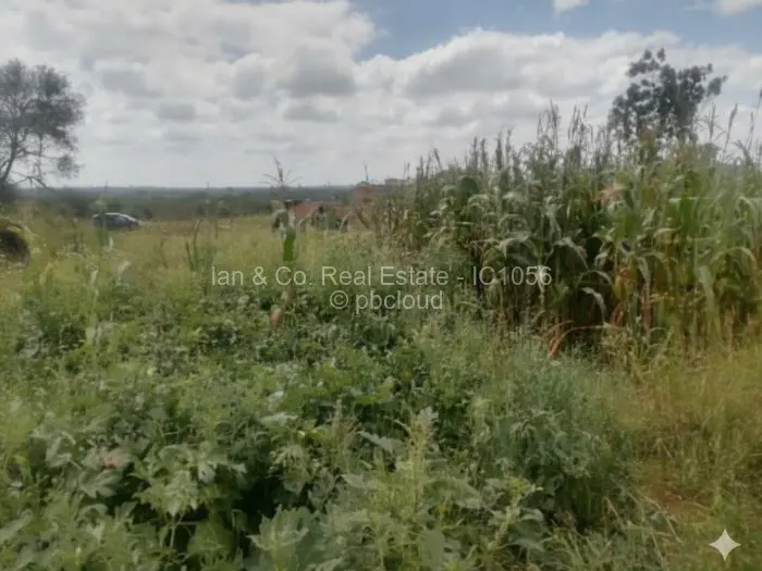 Residential Stand for Sale in Esigodini, Umzingwane