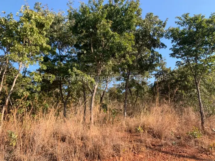 Stand for Sale in Shawasha Hills, Harare