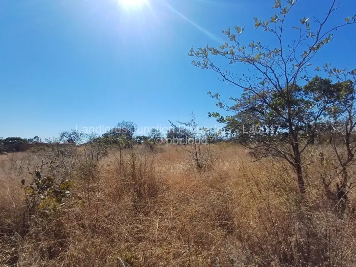 Stand for Sale in Burnside, Bulawayo