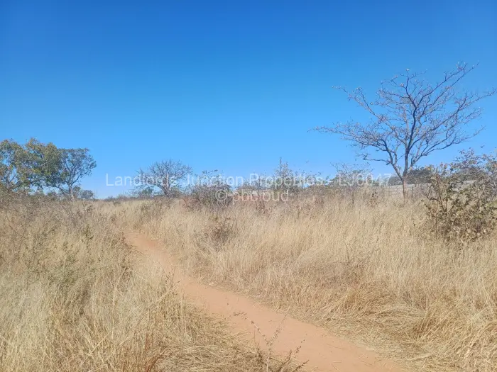 Stand for Sale in Burnside, Bulawayo