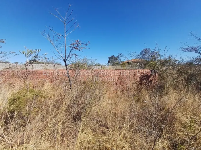 Stand for Sale in Burnside, Bulawayo