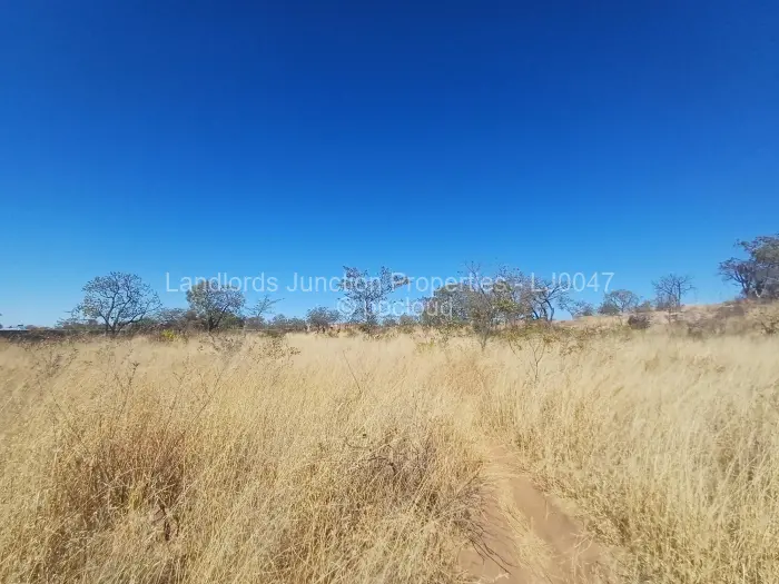 Stand for Sale in Burnside, Bulawayo