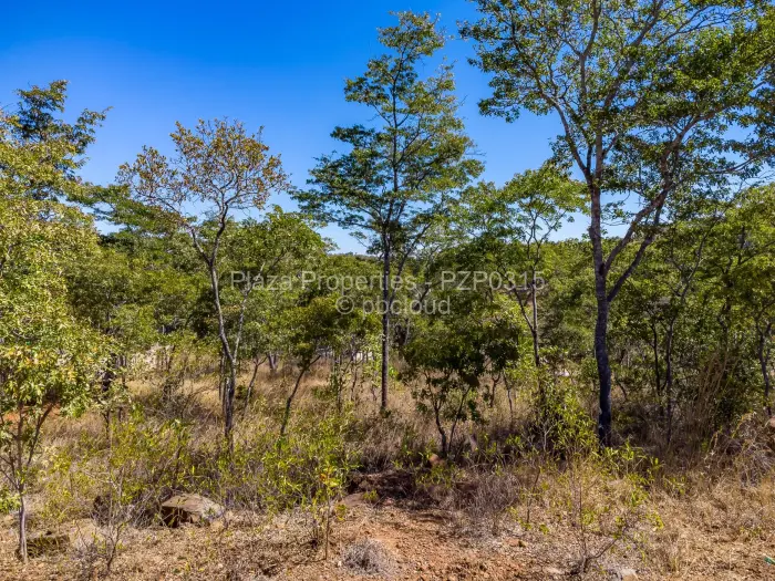 Residential Stand for Sale in Carrick Creagh Estate, Harare
