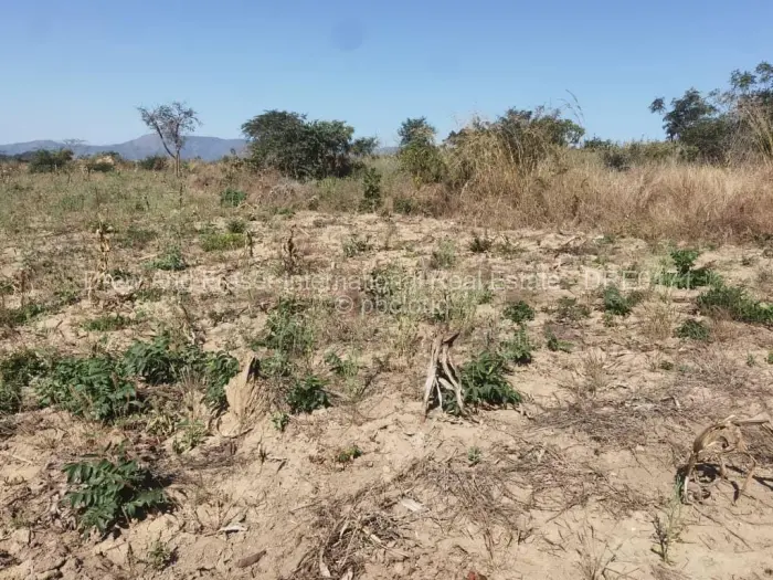 Residential Stand for Sale in Darlington, Mutare
