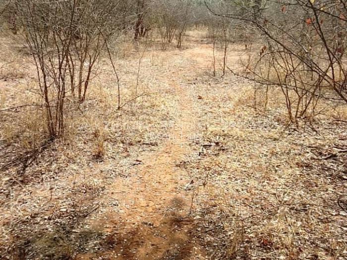 Residential Stand for Sale in Chiredzi, Chiredzi