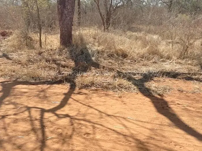 Residential Stand for Sale in Chiredzi, Chiredzi