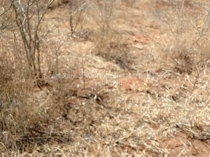 Residential Stand for Sale in Chiredzi, Chiredzi