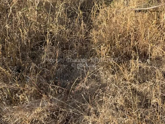 Residential Stand for Sale in Sunning Hill, Bulawayo