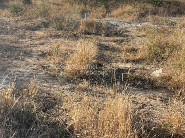 Residential Stand for Sale in Sunning Hill, Bulawayo