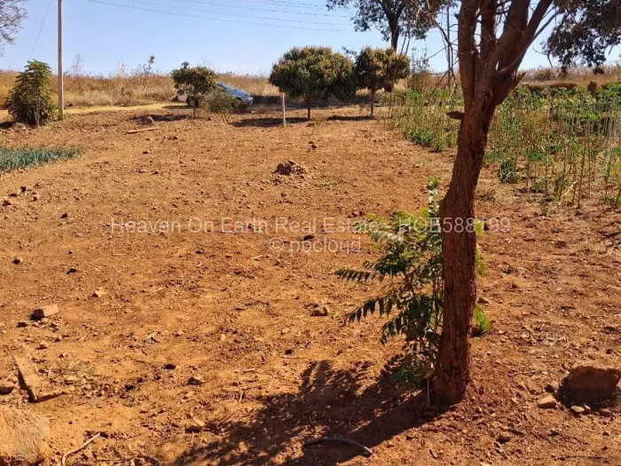 Land for Sale in Tynwald, Harare