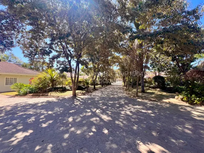 Townhouse/Complex/Cluster to Rent in Newlands, Harare